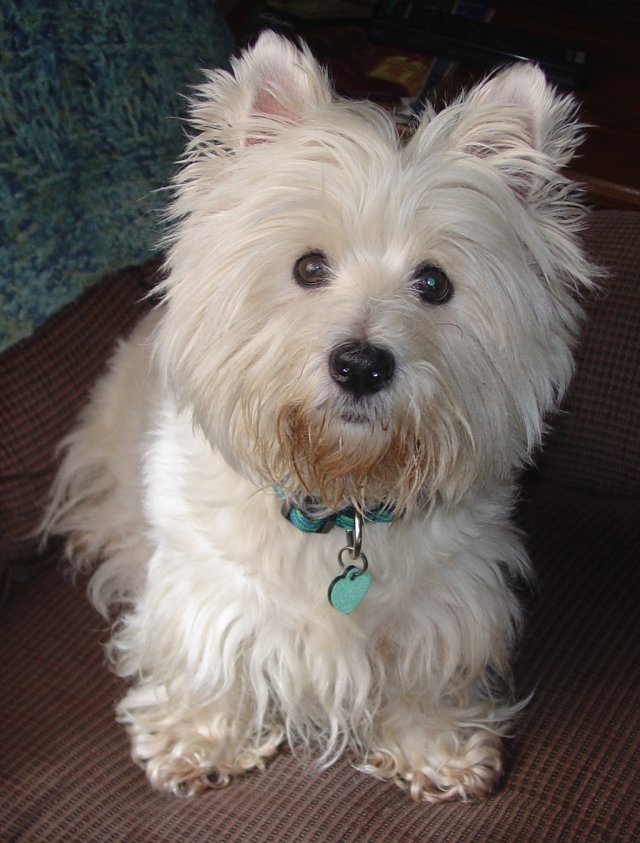 Copyright by Betty Whitson (Pix# 122)