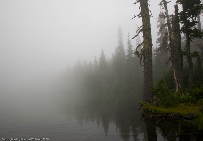 Copyright by Michael Whitson (Pix# 1236) Copyright by Michael Whitson (Pix# 1236)