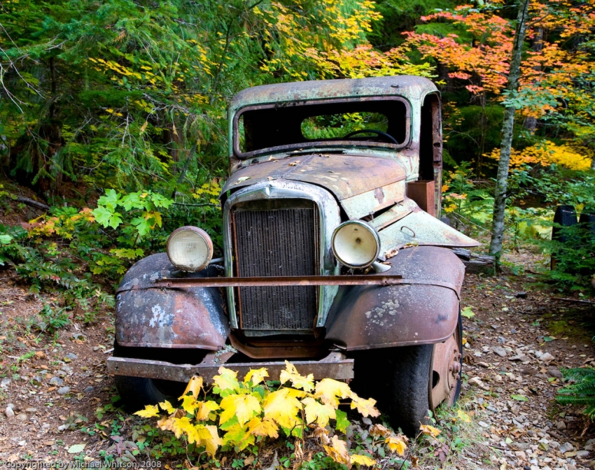 Copyright by Michael Whitson (Pix# 1238) Copyright by Michael Whitson (Pix# 1238)
