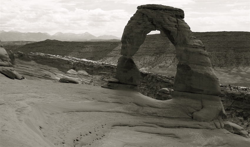 Copyright by Nicholas Brown (Pix# 1358)
