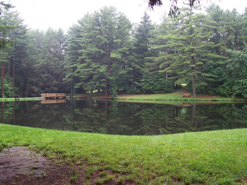 Copyright by Connie Shaw (Pix# 53)