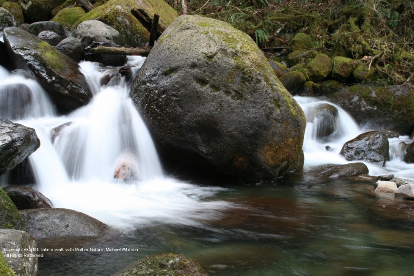 Copyright by Michael Whitson (Pix# 566)