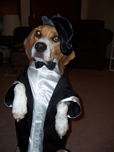 Copyright by Kim & Furkids (Pix# 72)