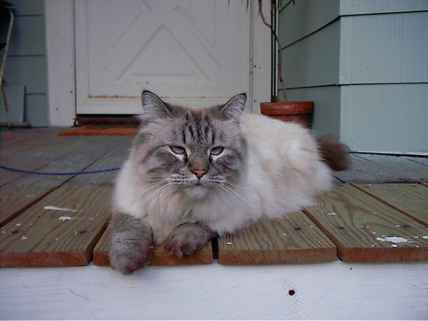 Copyright by Kat (Pix# 79)