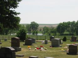 "Bohemian National Cemetery" - Click for larger view