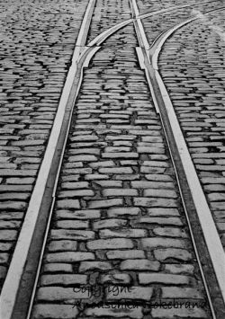 "Down the tracks" - Click for larger view "Down the tracks" - Click for larger view