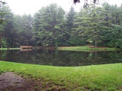"Serenity Pond" - Click for larger view