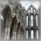 "St Hildas Abbey - Whitby ,UK" by Jewels