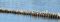 "A line of broken pilings on the Columbia" by Tina