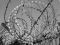 "Razorwire" by Lynda