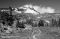 "Mt Adams" by Michael Whitson